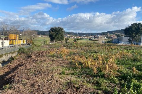 Terra a Cavaloes, Braga, Cavaloes - € 280.000 | Ref: 3460 - foto 3