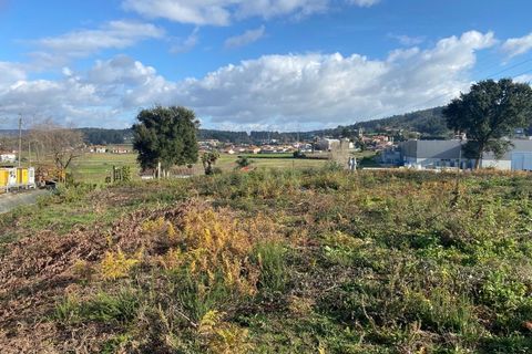 Terra a Cavaloes, Braga, Cavaloes - € 280.000 | Ref: 3460 - foto 4