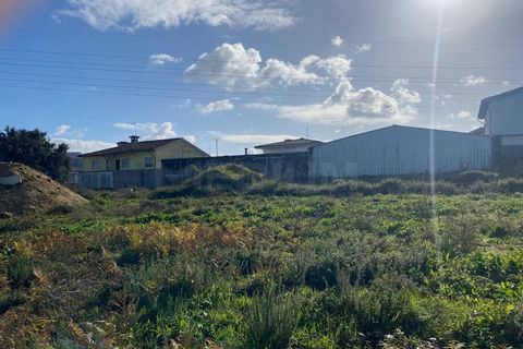 Terra a Cavaloes, Braga, Cavaloes - € 280.000 | Ref: 3460 - foto 5