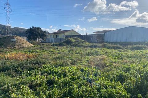 Terra a Cavaloes, Braga, Cavaloes - € 280.000 | Ref: 3460 - foto 7