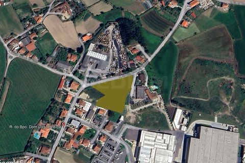 Terra a Cavaloes, Braga, Cavaloes - € 280.000 | Ref: 3460 - foto 13