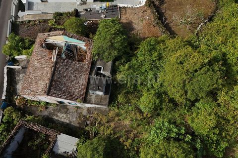 Villa a Madalena, Pico, Madalena - € 119.000 | Ref: 374240278 - foto 5
