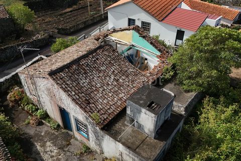 Villa a Madalena, Pico, Madalena - € 119.000 | Ref: 374240278 - foto 6