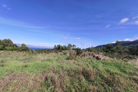 Helårsgrund i Sao Roque do Pico, Pico, Sao Roque do Pico - € 49.000 | Ref: 374240279 - foto 5