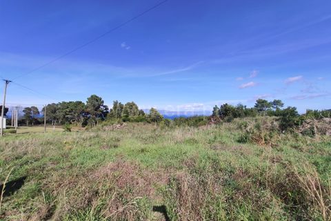 Helårsgrund i Sao Roque do Pico, Pico, Sao Roque do Pico - € 49.000 | Ref: 374240279 - foto 6