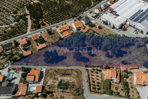 Terra a Belmonte, Castelo Branco, Belmonte - € 50.000 | Ref: 111240167 - foto 2