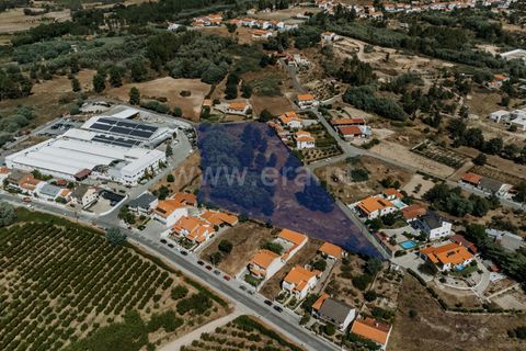 Terra a Belmonte, Castelo Branco, Belmonte - € 50.000 | Ref: 111240167 - foto 3
