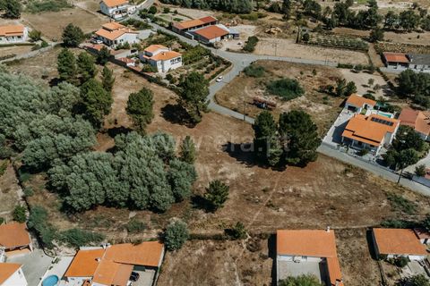 Terra a Belmonte, Castelo Branco, Belmonte - € 50.000 | Ref: 111240167 - foto 4