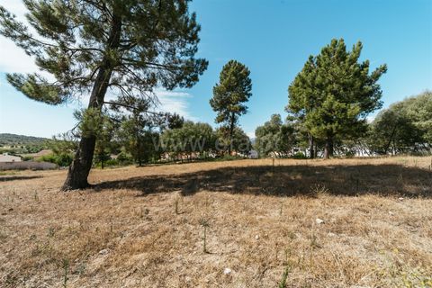 Terra a Belmonte, Castelo Branco, Belmonte - € 50.000 | Ref: 111240167 - foto 5