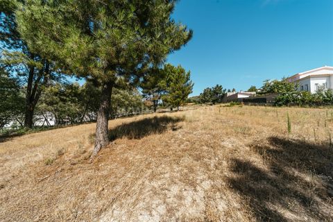 Terra a Belmonte, Castelo Branco, Belmonte - € 50.000 | Ref: 111240167 - foto 6