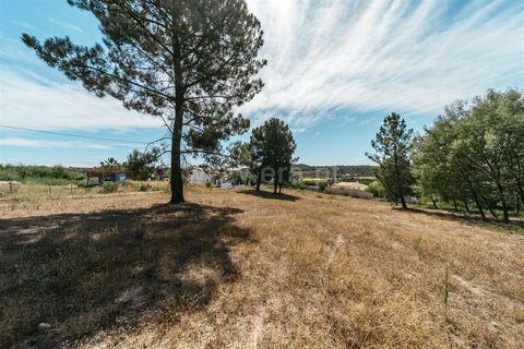 Terra a Belmonte, Castelo Branco, Belmonte - € 50.000 | Ref: 111240167 - foto 7