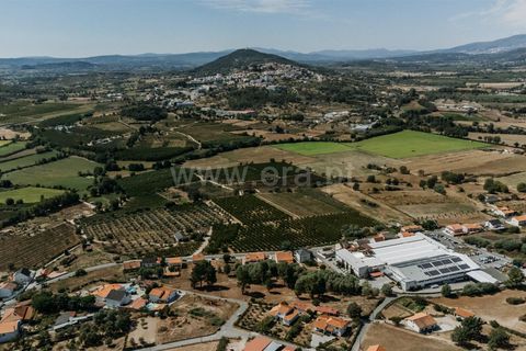 Terra a Belmonte, Castelo Branco, Belmonte - € 50.000 | Ref: 111240167 - foto 8