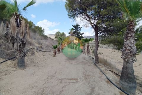 Finca i Mazarron, Murcia, Mazarron - € 299.000 | Ref: VAL03 - foto 9