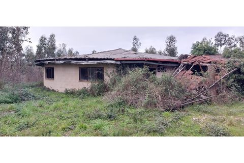 Tomt i Monte Real, Leiria, Monte Real - € 600 000 | Ref: mg1604-2 - foto 2