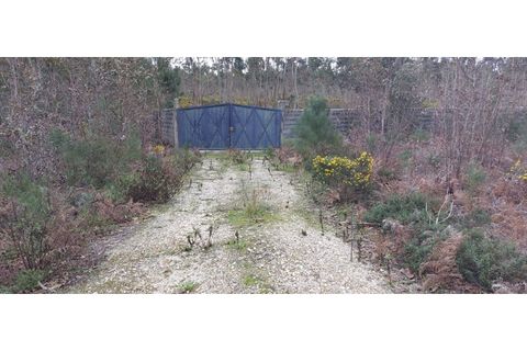 Tomt i Monte Real, Leiria, Monte Real - € 600 000 | Ref: mg1604-2 - foto 3