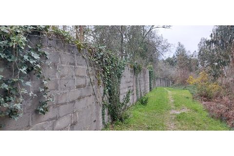 Tomt i Monte Real, Leiria, Monte Real - € 600 000 | Ref: mg1604-2 - foto 8
