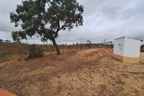 Farm hus i Serpa, Beja, Serpa - € 340.000 | Ref: 0203 - foto 11