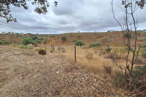 Farm hus i Serpa, Beja, Serpa - € 340.000 | Ref: 0203 - foto 45