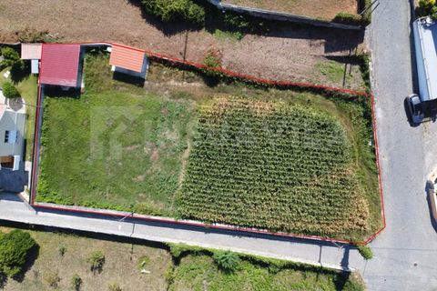 Helårsgrund i Caminha, Viana do Castelo, Caminha - € 115.000 | Ref: 2493 - foto 1