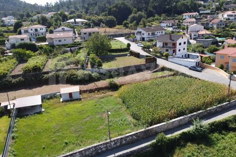 Helårsgrund i Caminha, Viana do Castelo, Caminha - € 115.000 | Ref: 2493 - foto 2