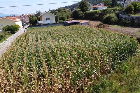 Helårsgrund i Caminha, Viana do Castelo, Caminha - € 115.000 | Ref: 2493 - foto 3