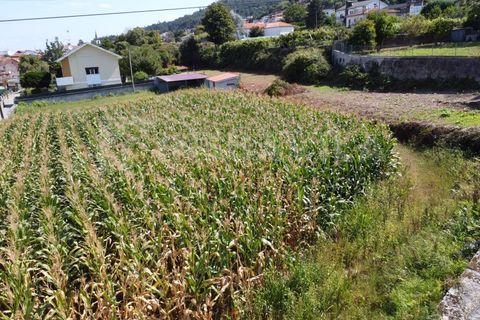 Helårsgrund i Caminha, Viana do Castelo, Caminha - € 115.000 | Ref: 2493 - foto 5