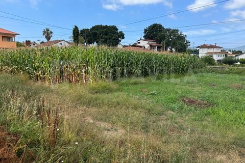 Helårsgrund i Caminha, Viana do Castelo, Caminha - € 115.000 | Ref: 2493 - foto 8