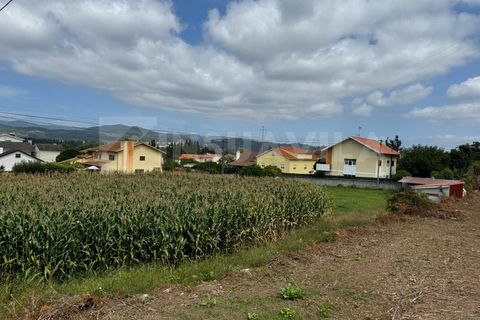 Helårsgrund i Caminha, Viana do Castelo, Caminha - € 115.000 | Ref: 2493 - foto 9