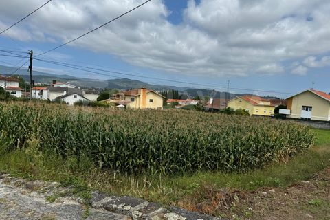 Helårsgrund i Caminha, Viana do Castelo, Caminha - € 115.000 | Ref: 2493 - foto 11