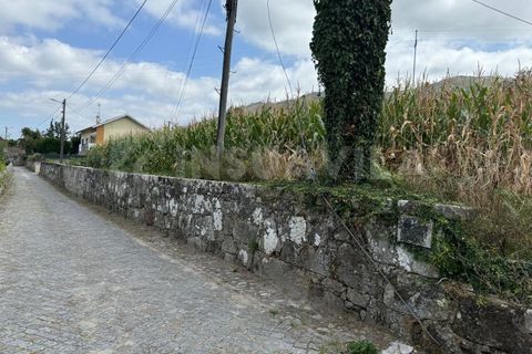 Helårsgrund i Caminha, Viana do Castelo, Caminha - € 115.000 | Ref: 2493 - foto 13