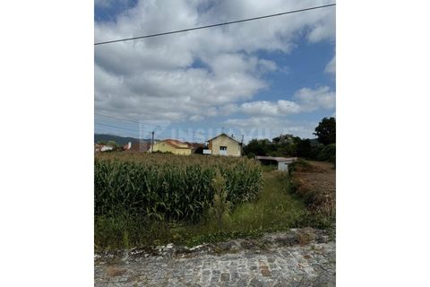 Helårsgrund i Caminha, Viana do Castelo, Caminha - € 115.000 | Ref: 2493 - foto 14