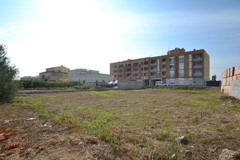 Helårsgrund i Deltebre, Tarragona, Deltebre - € 90.000 | Ref: FZD74/6931 - foto 12