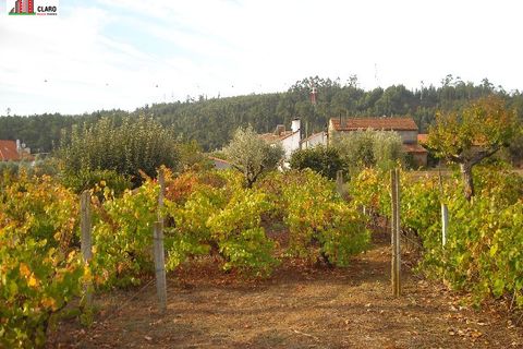 Villa a Penela, Coimbra, Penela - € 85.000 | Ref: CC3109 - foto 15