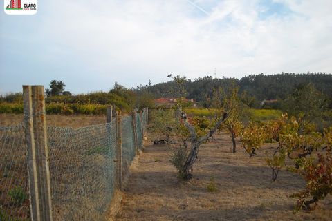 Villa a Penela, Coimbra, Penela - € 85.000 | Ref: CC3109 - foto 18