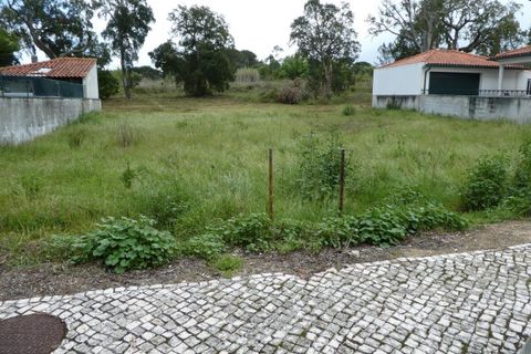 Terra a Condeixa-a-Nova, Coimbra, Condeixa-a-Nova - € 80.000 | Ref: CC3405 - foto 2