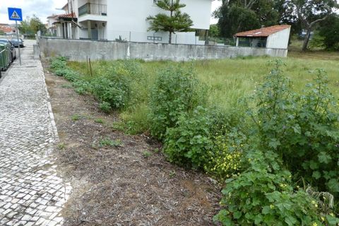 Terra a Condeixa-a-Nova, Coimbra, Condeixa-a-Nova - € 80.000 | Ref: CC3405 - foto 3