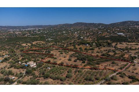 Helårsgrund i Estoi, Faro, Estoi - € 300.000 | Ref: AMO_293 - foto 2