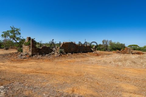 Helårsgrund i Estoi, Faro, Estoi - € 300.000 | Ref: AMO_293 - foto 3
