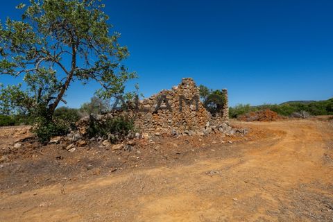 Helårsgrund i Estoi, Faro, Estoi - € 300.000 | Ref: AMO_293 - foto 5