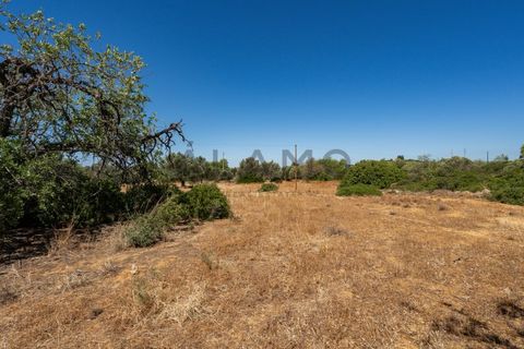 Helårsgrund i Estoi, Faro, Estoi - € 300.000 | Ref: AMO_293 - foto 7