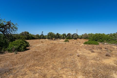 Helårsgrund i Estoi, Faro, Estoi - € 300.000 | Ref: AMO_293 - foto 8
