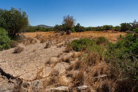 Helårsgrund i Estoi, Faro, Estoi - € 300.000 | Ref: AMO_293 - foto 10