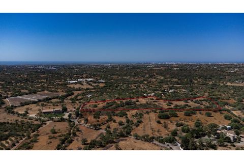 Helårsgrund i Estoi, Faro, Estoi - € 300.000 | Ref: AMO_293 - foto 15