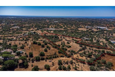 Helårsgrund i Estoi, Faro, Estoi - € 300.000 | Ref: AMO_293 - foto 17