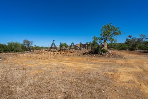 Helårsgrund i Estoi, Faro, Estoi - € 300.000 | Ref: AMO_293 - foto 19