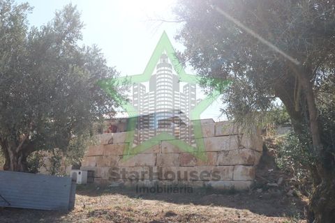 Villa a Asseiceira, Santarem, Asseiceira - € 385.000 | Ref: STAR_197 - foto 37