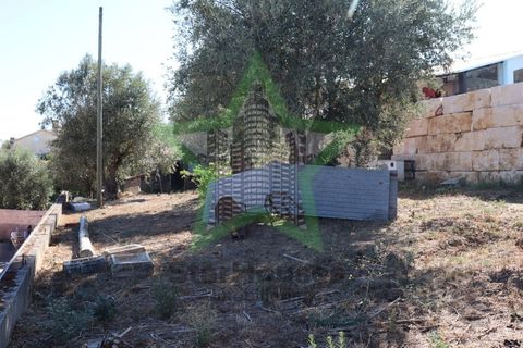 Villa a Asseiceira, Santarem, Asseiceira - € 385.000 | Ref: STAR_197 - foto 38