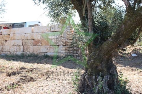 Villa a Asseiceira, Santarem, Asseiceira - € 385.000 | Ref: STAR_197 - foto 39