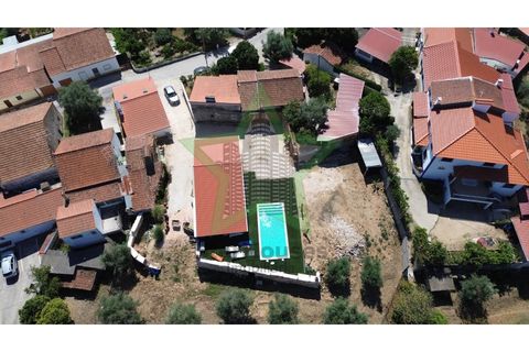 Villa a Asseiceira, Santarem, Asseiceira - € 385.000 | Ref: STAR_197 - foto 44