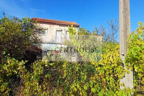 Villa i Cantanhede, Coimbra, Cantanhede - € 99.000 | Ref: C24013 - foto 2